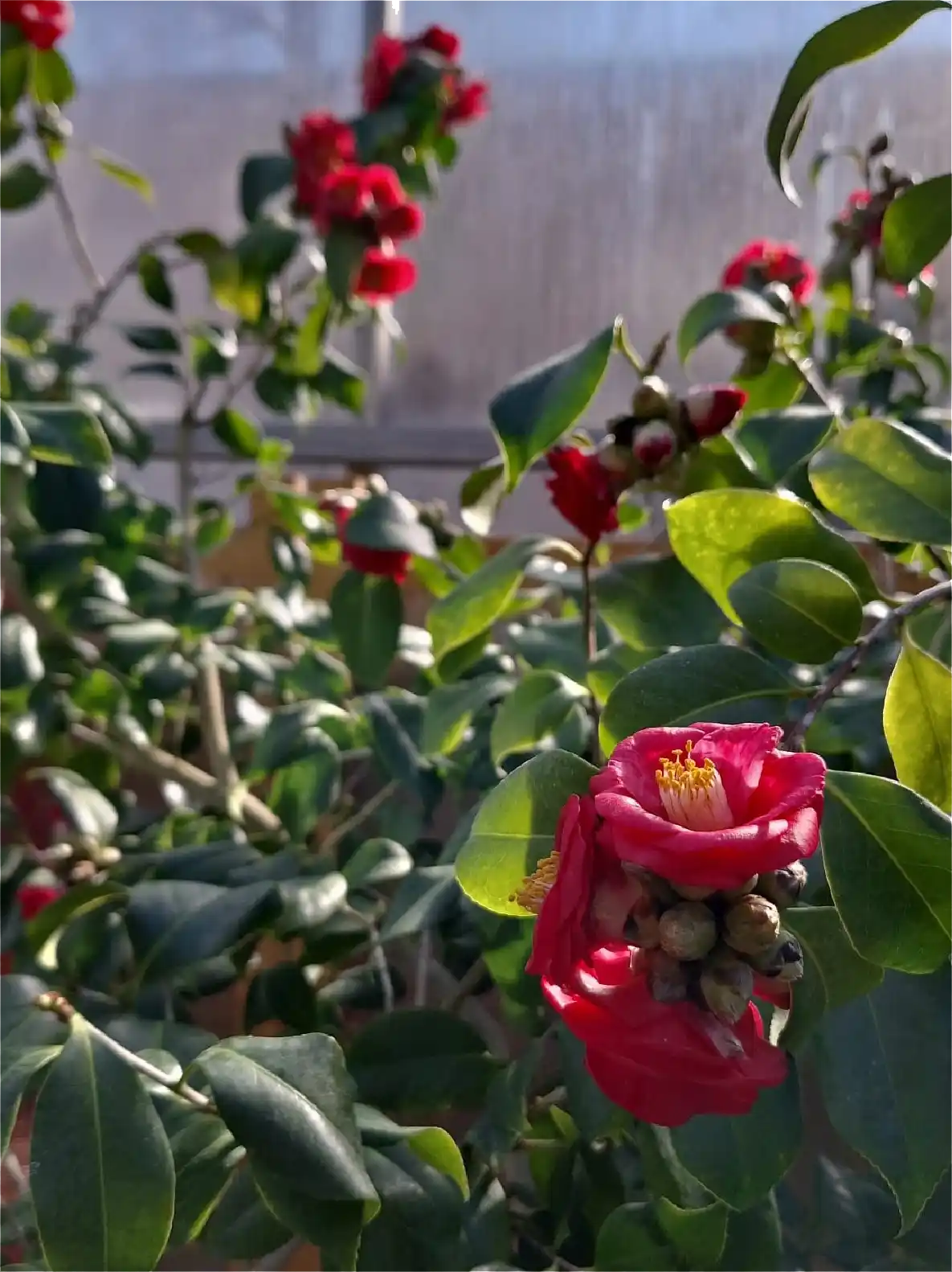 Photos by Amelia Dumitrașcu