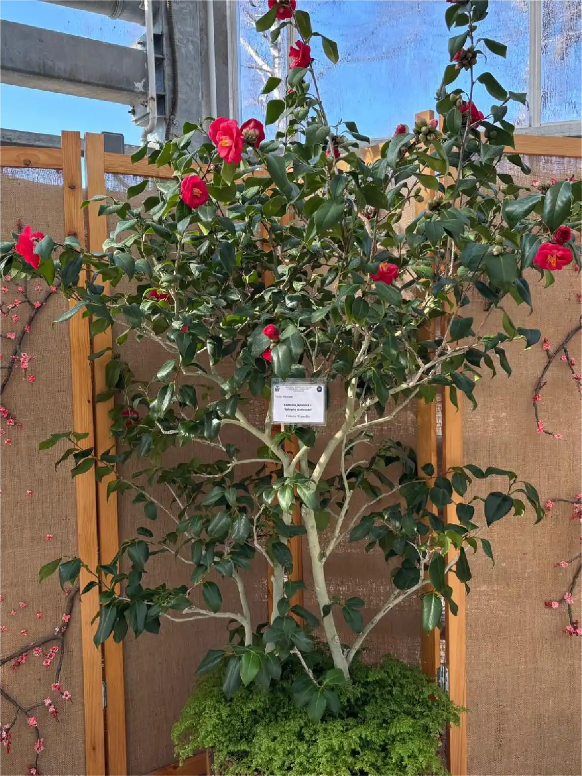 Photos by Ayana Sălceanu