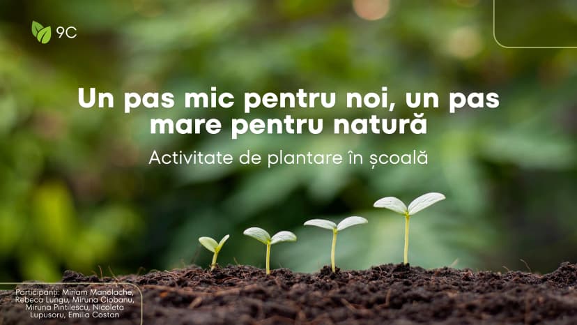proiect-bio-plantat-1-of-9.webp
