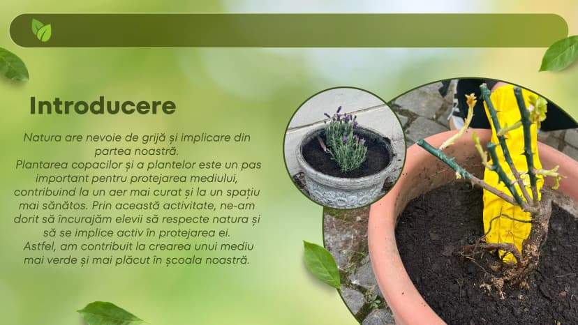 proiect-bio-plantat-2-of-9.webp