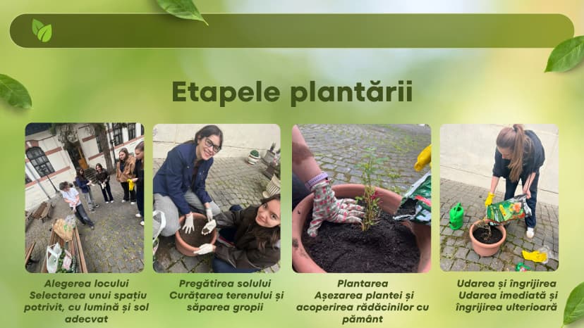 proiect-bio-plantat-3-of-9.webp
