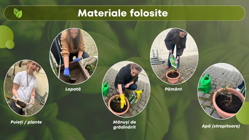 proiect-bio-plantat-4-of-9.webp
