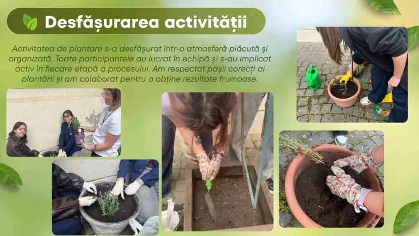 proiect-bio-plantat-5-of-9.webp