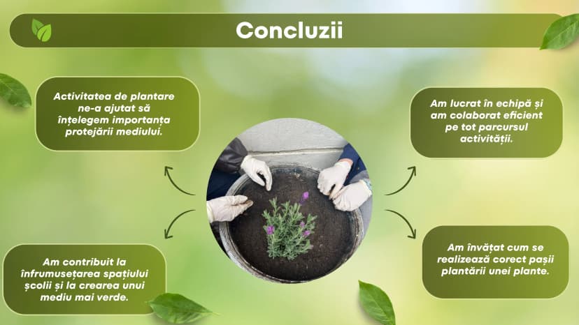 proiect-bio-plantat-6-of-9.webp