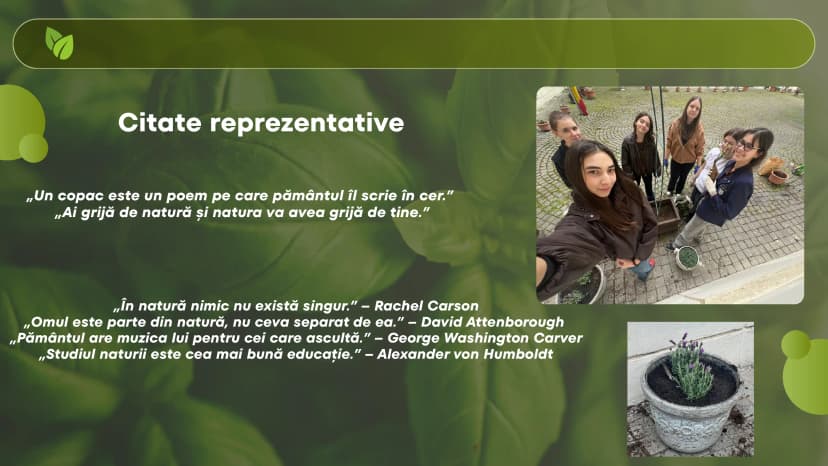 proiect-bio-plantat-7-of-9.webp
