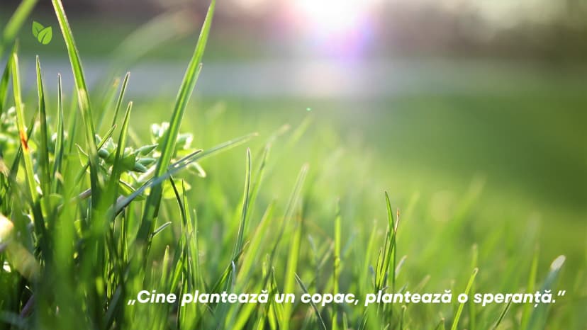 proiect-bio-plantat-9-of-9.webp