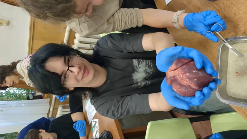 iti_dau_inima6 (3).webp